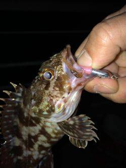 メバリングのち