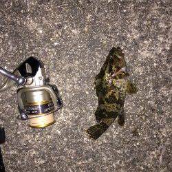 爆風、凪、タケノコメバル