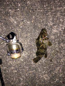 爆風、凪、タケノコメバル