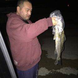 少し早いですが