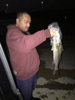 少し早いですが