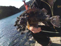 郵便局周辺で釣りをする（笑）。