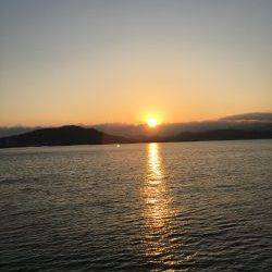 狙うなら暗くなるまで!?