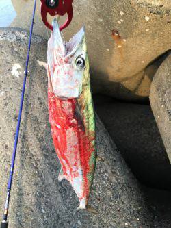 遠征に次ぐ遠征で