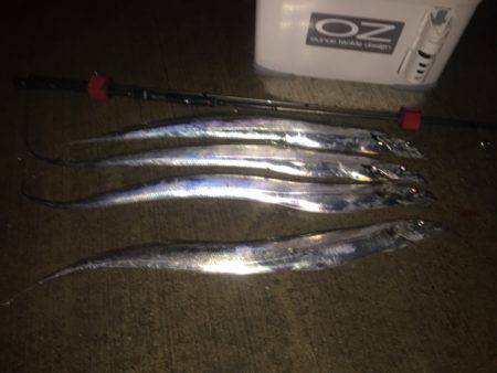 春タチ降臨！メーターオーバーも出た！