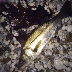 ライトライトライト