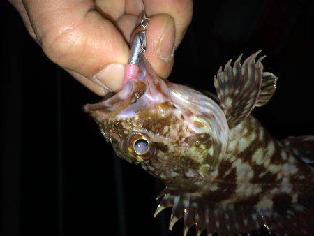 メバリングのち