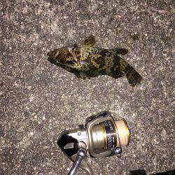 爆風、凪、タケノコメバル