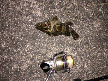 爆風、凪、タケノコメバル