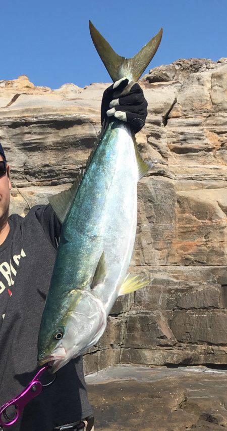 今年初釣行、初地磯で初釣果の青いヤツ