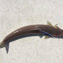 すんごく暑かった。。。