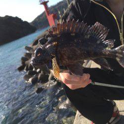 郵便局周辺で釣りをする（笑）。