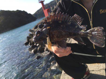 郵便局周辺で釣りをする（笑）。