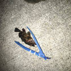 夜はチョコっと寒いです