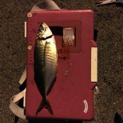 加太から助松埠頭まで