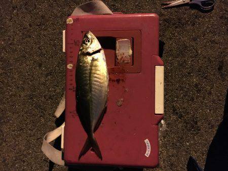 加太から助松埠頭まで