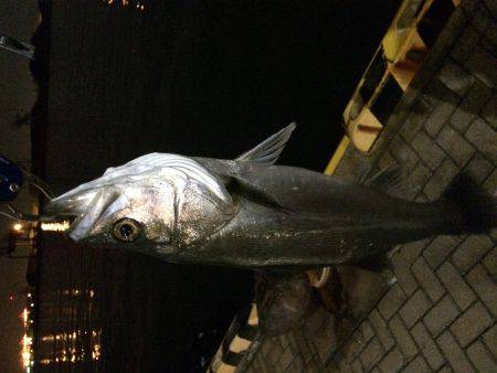 サイズUPは難しいです…。