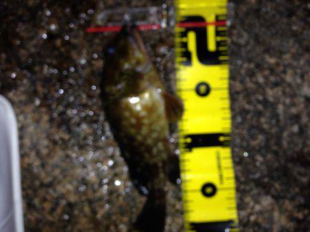 ロックプラッキング