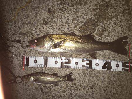 タイミング逃すなで…