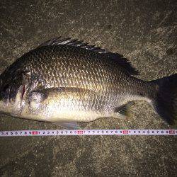 満潮から下げ始めで