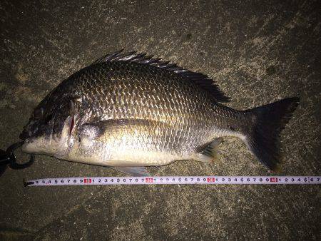 満潮から下げ始めで