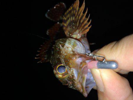 ガシガシガッシーず‼︎