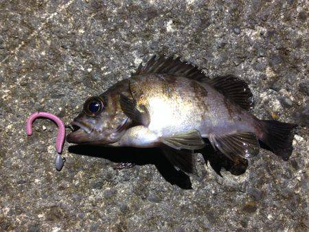 雨の中は止みませんでした…