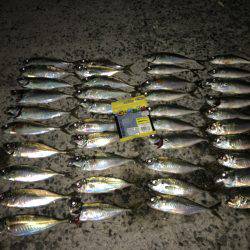 アジのナブラ打ち