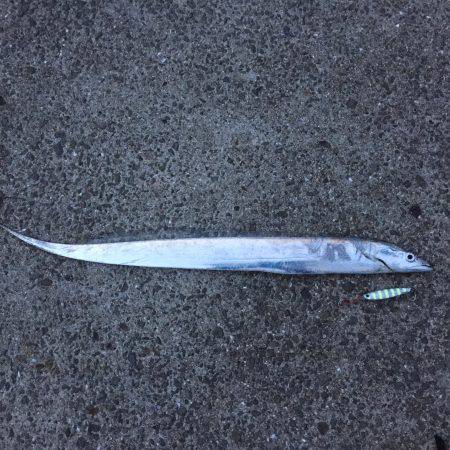 春タチ最高です!