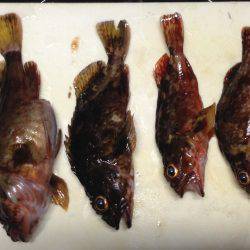 短時間ガシリング！