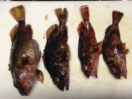 短時間ガシリング！