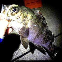 爆風フロートメバリング！