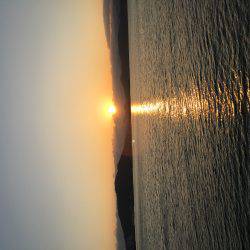 狙うなら暗くなるまで!?