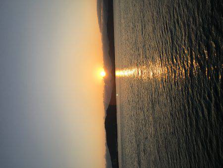 狙うなら暗くなるまで!?