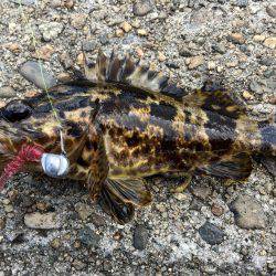 デイガシリング