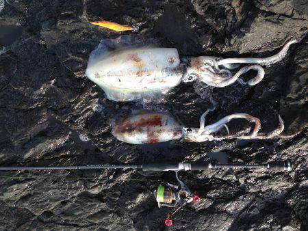 なんとかかんとか