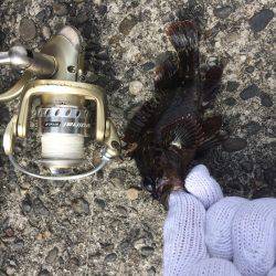 春うららデイゲーム！！