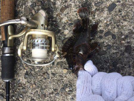 春うららデイゲーム！！