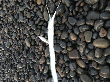 なんとも言えないですね。