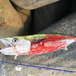 遠征に次ぐ遠征で