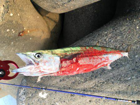 遠征に次ぐ遠征で