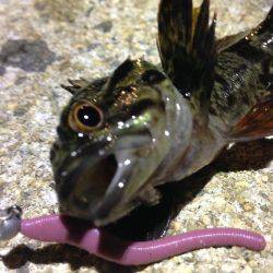 雨が降る前に。