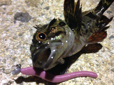 雨が降る前に。