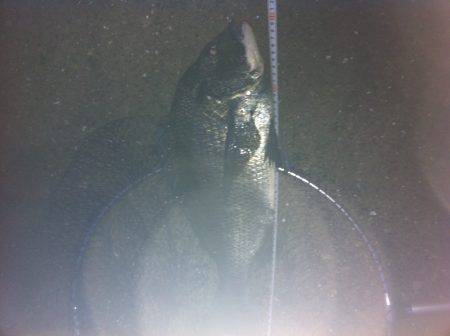 ガンガン釣りまくる^_^