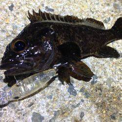 土砂降り後の修行！