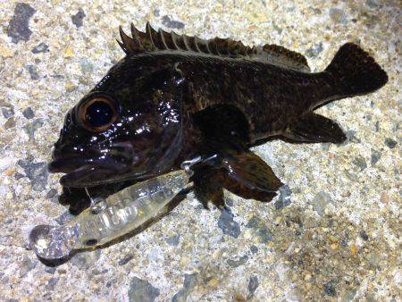 土砂降り後の修行！