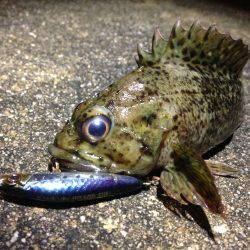 無風、プラッギング修行!