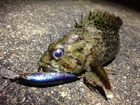 無風、プラッギング修行！