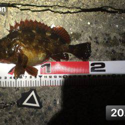 メバルを、求めてプチ遠征(^^)