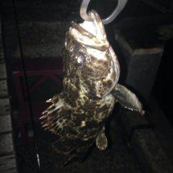 くぅー、タケノコ